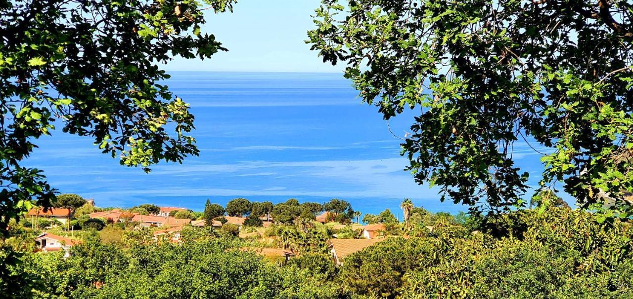 Naturamare Apartments - Piscina Idromassaggio Con Vista Mare Aperta Fino Alle Ore 22-00 Capo Vaticano Exterior photo